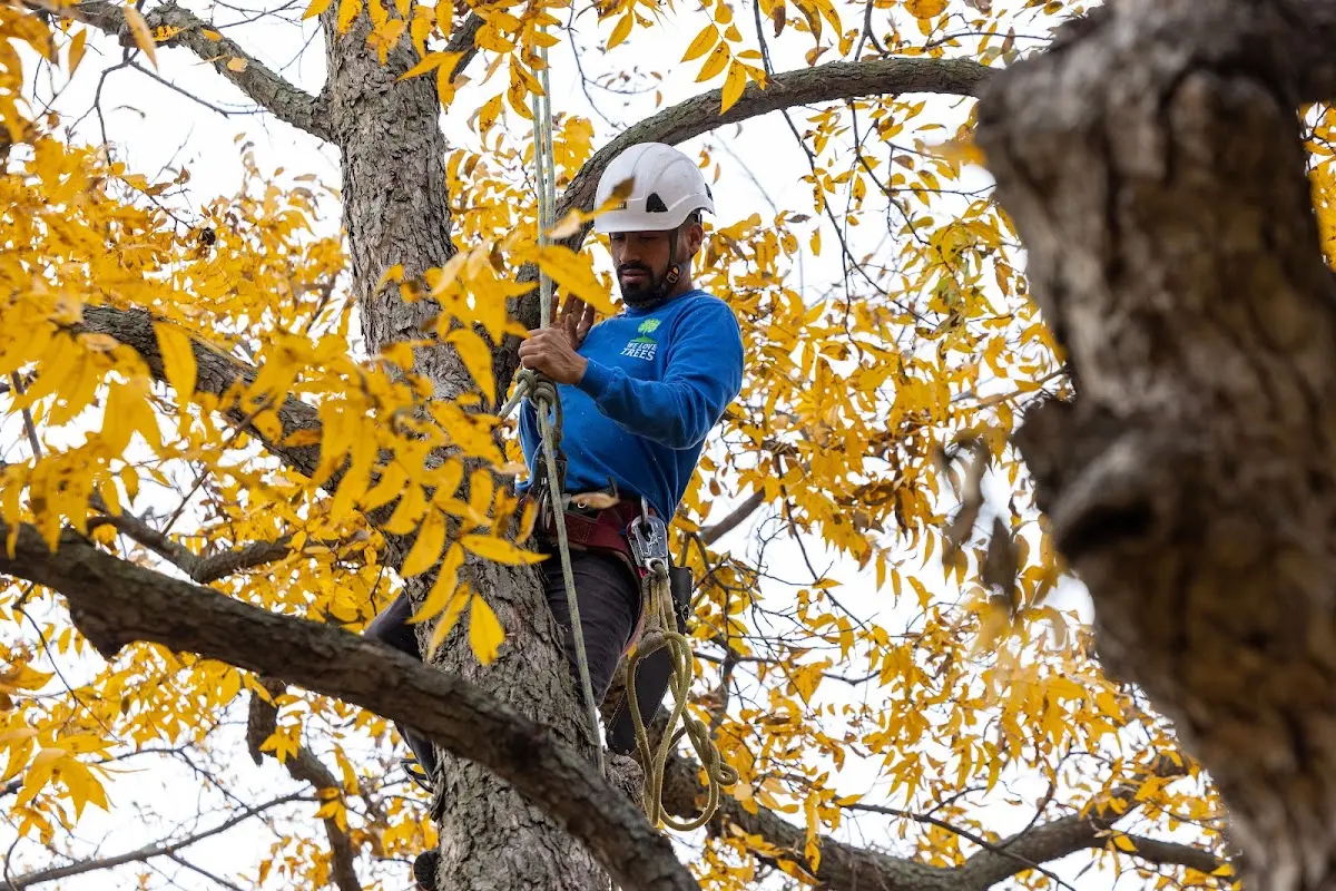 Skilled Storm Damage Cleanup crew working in Oklahoma City