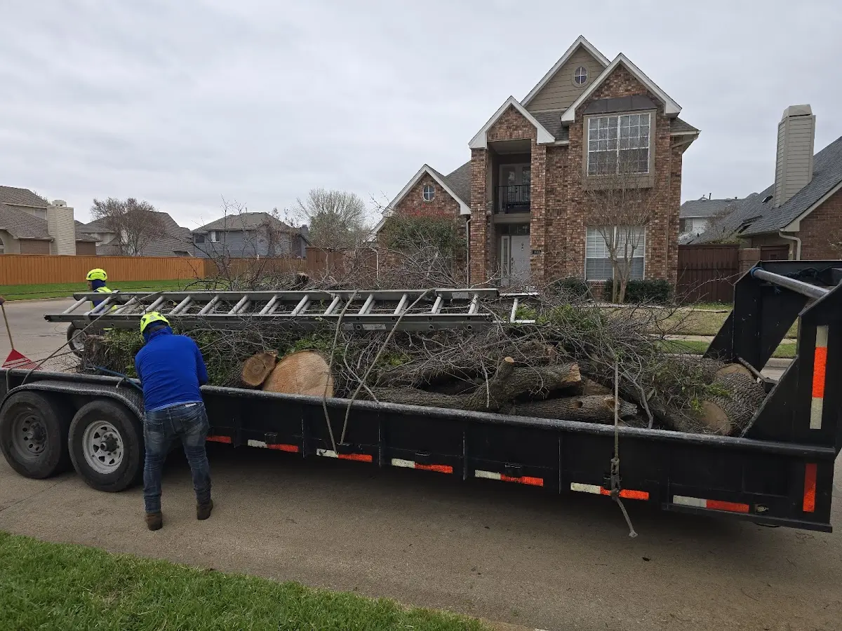 Expert Tree Fertilization with proper safety equipment in Oklahoma City